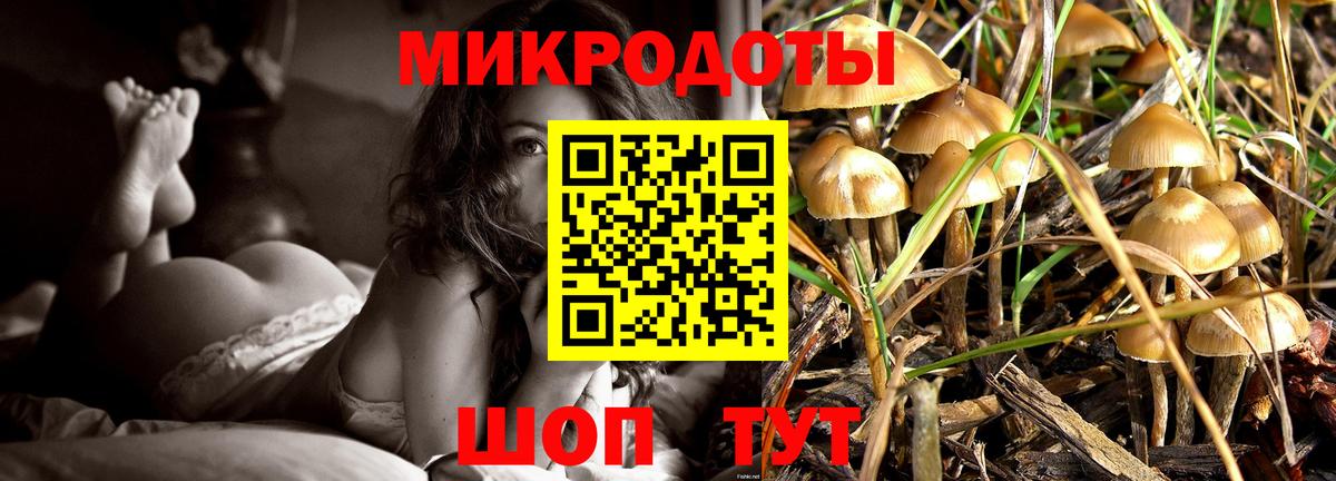 Галлюциногенные грибы MAGIC MUSHROOMS Новомосковск